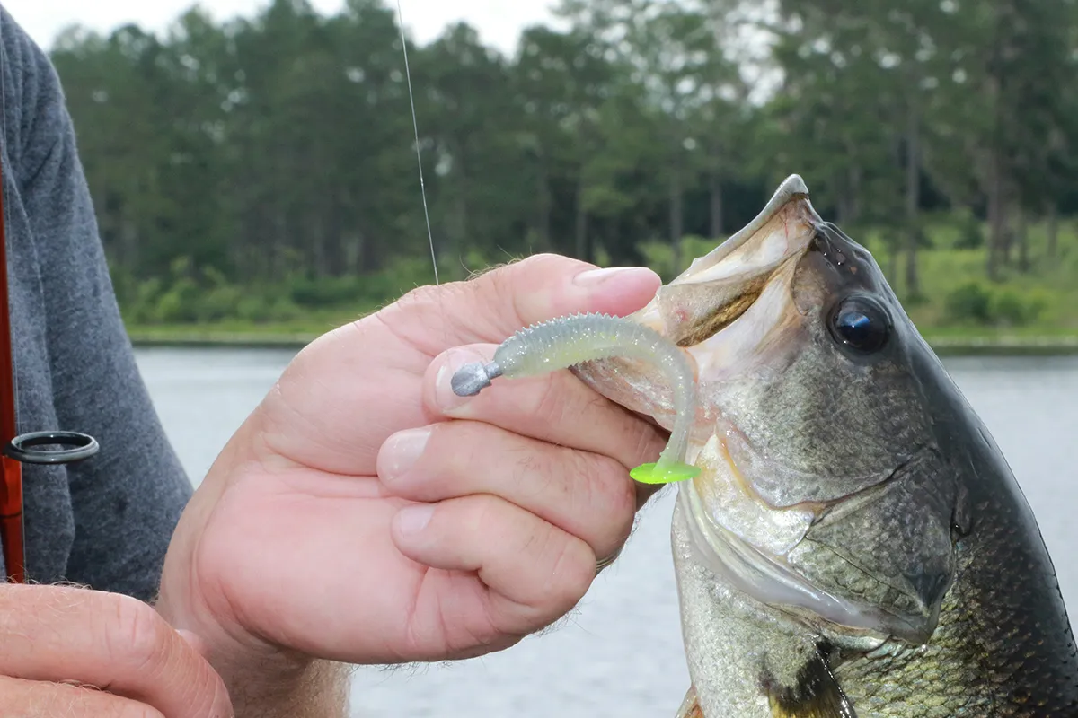 Paddle Tail Swimbait